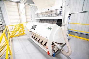 تأثیر به کارگیری سورتینگ رنگی در برندینگ محصولات کشاورزی و غذایی